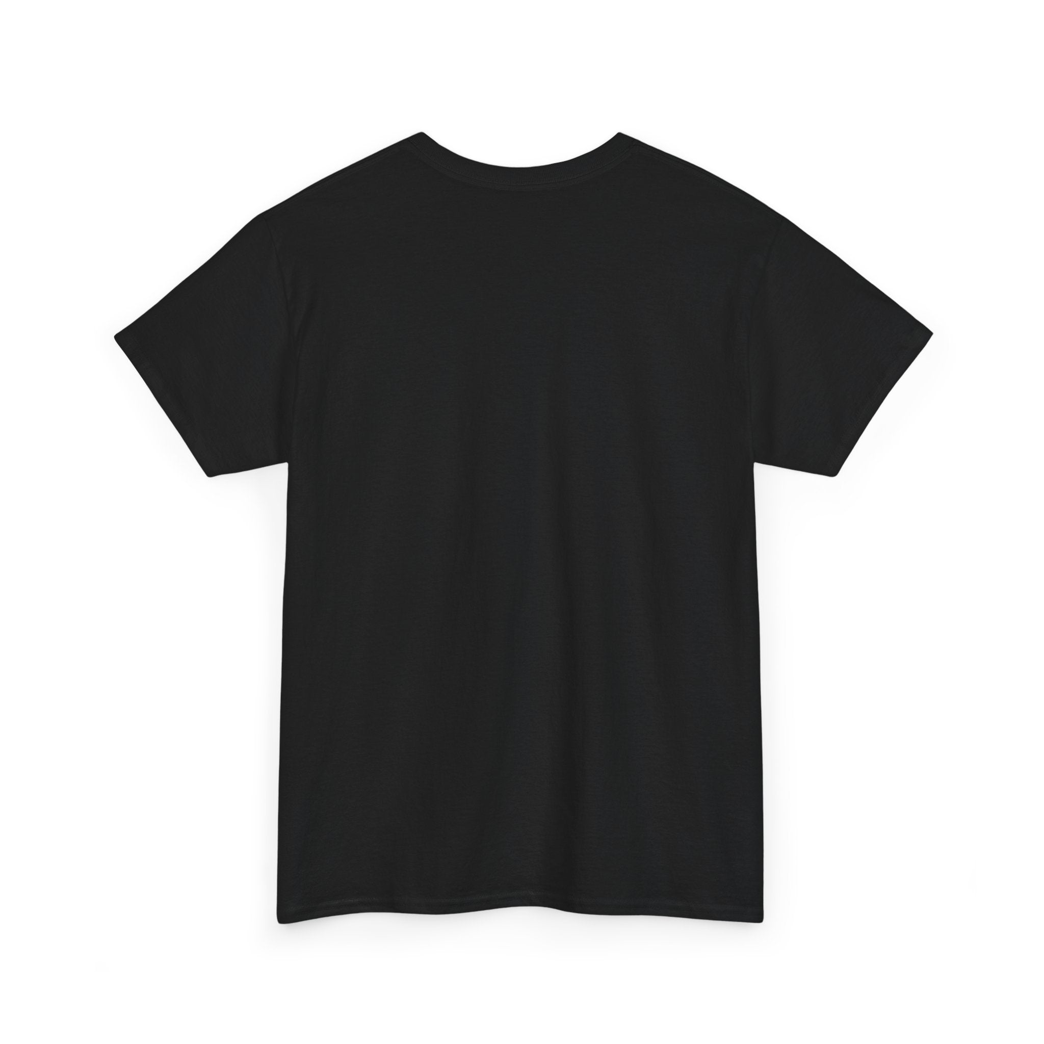 _Everything Cat shirt